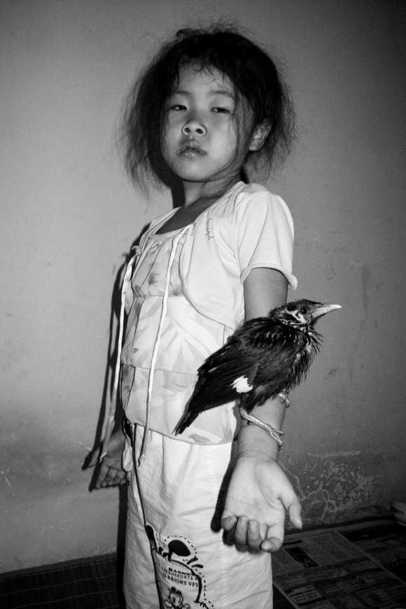 © Feng Li