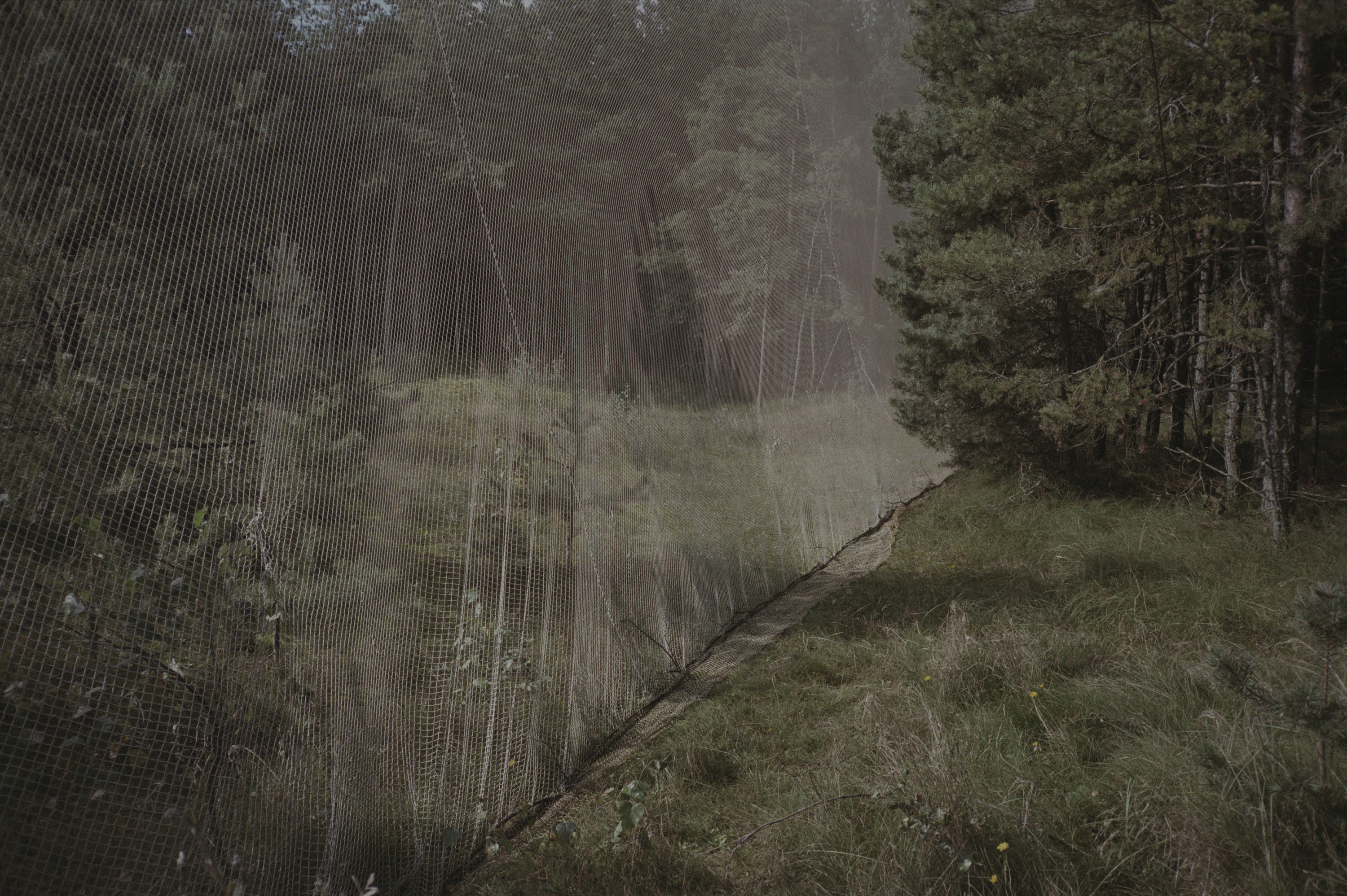 © Stefan Bladhs