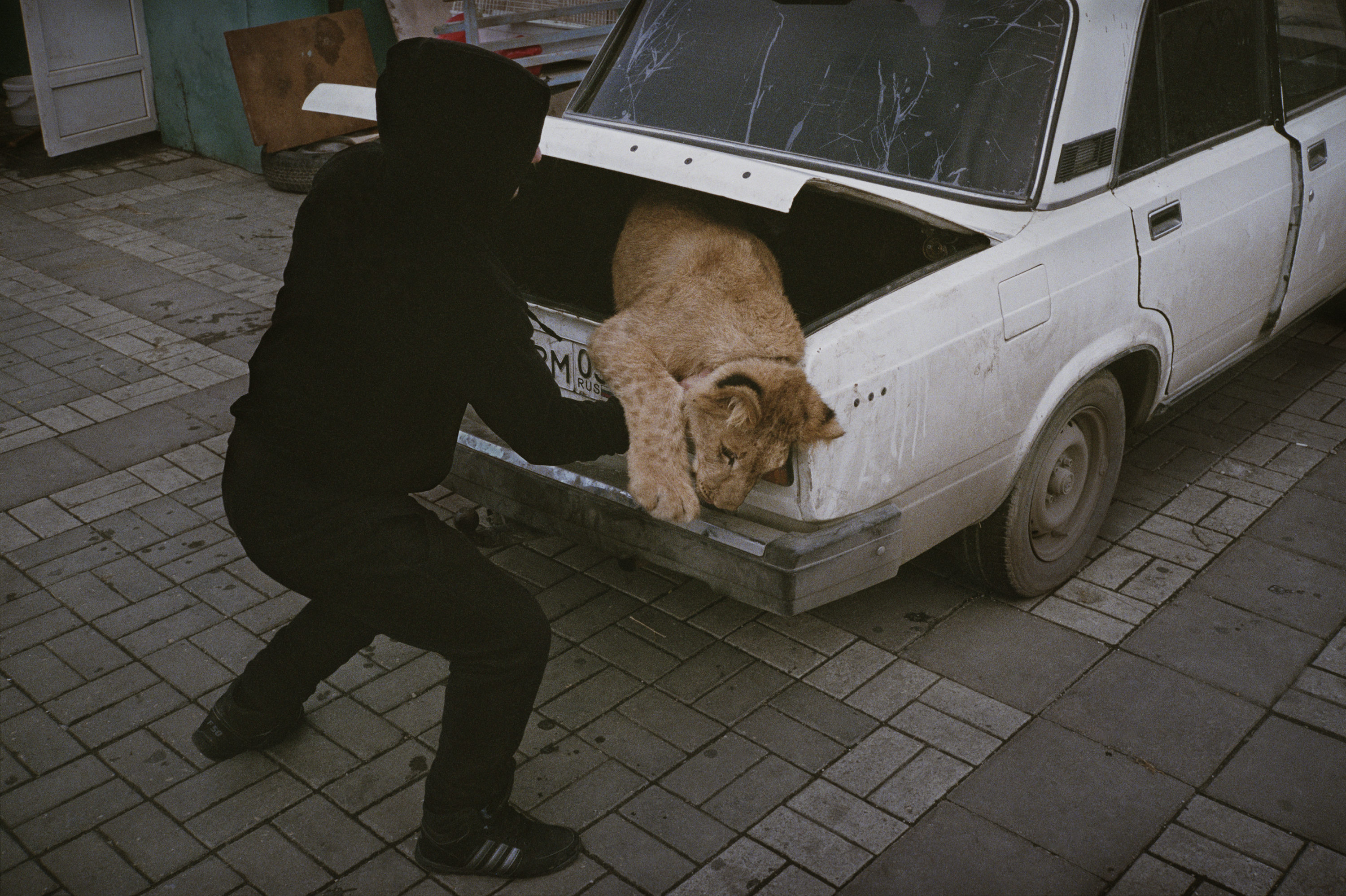 © Stefan Bladhs