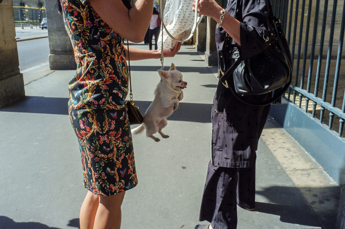 © Nicolas Portnoi
