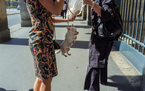 © Nicolas Portnoi
