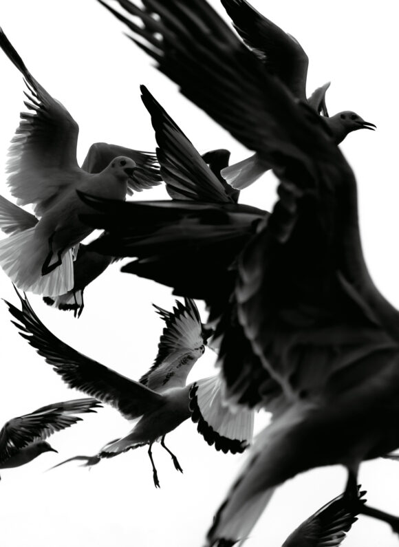 Projet Omen © David Jiménez