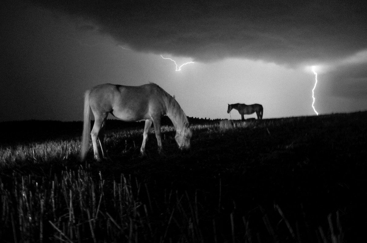 © Stavros Stamatiou