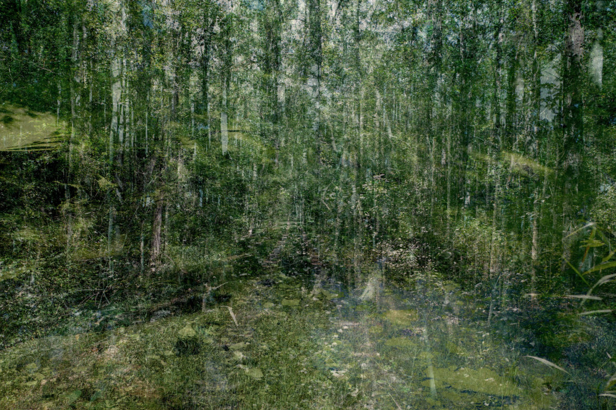 © Amani Willett