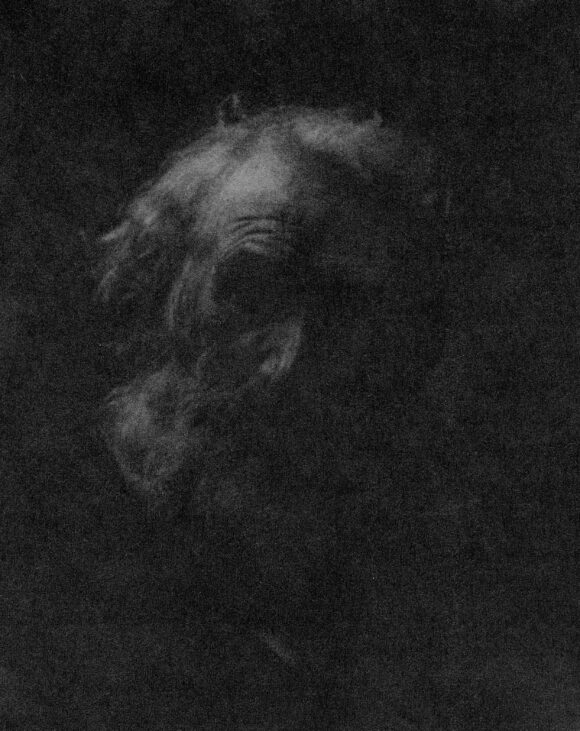 © Amani Willett