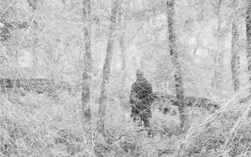 © Amani Willett