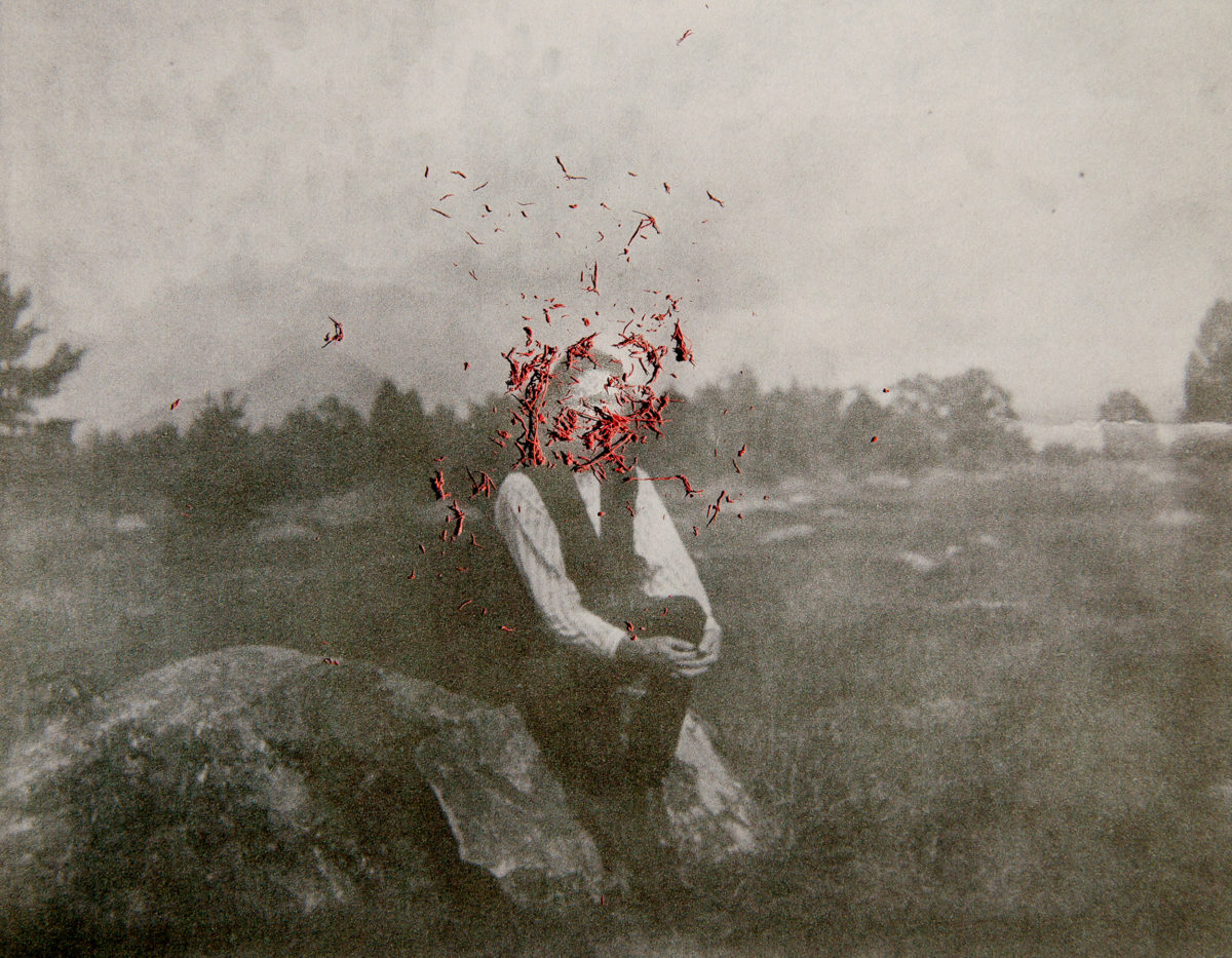 © Amani Willett