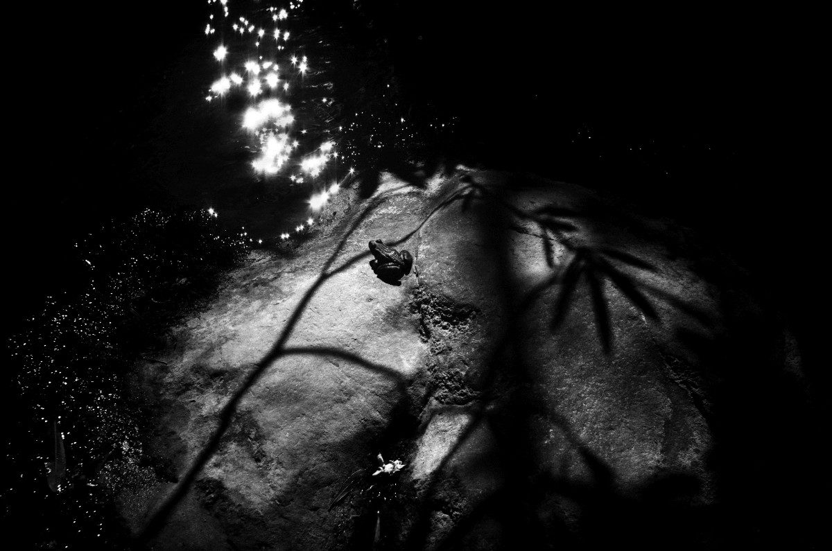 © Stavros Stamatiou