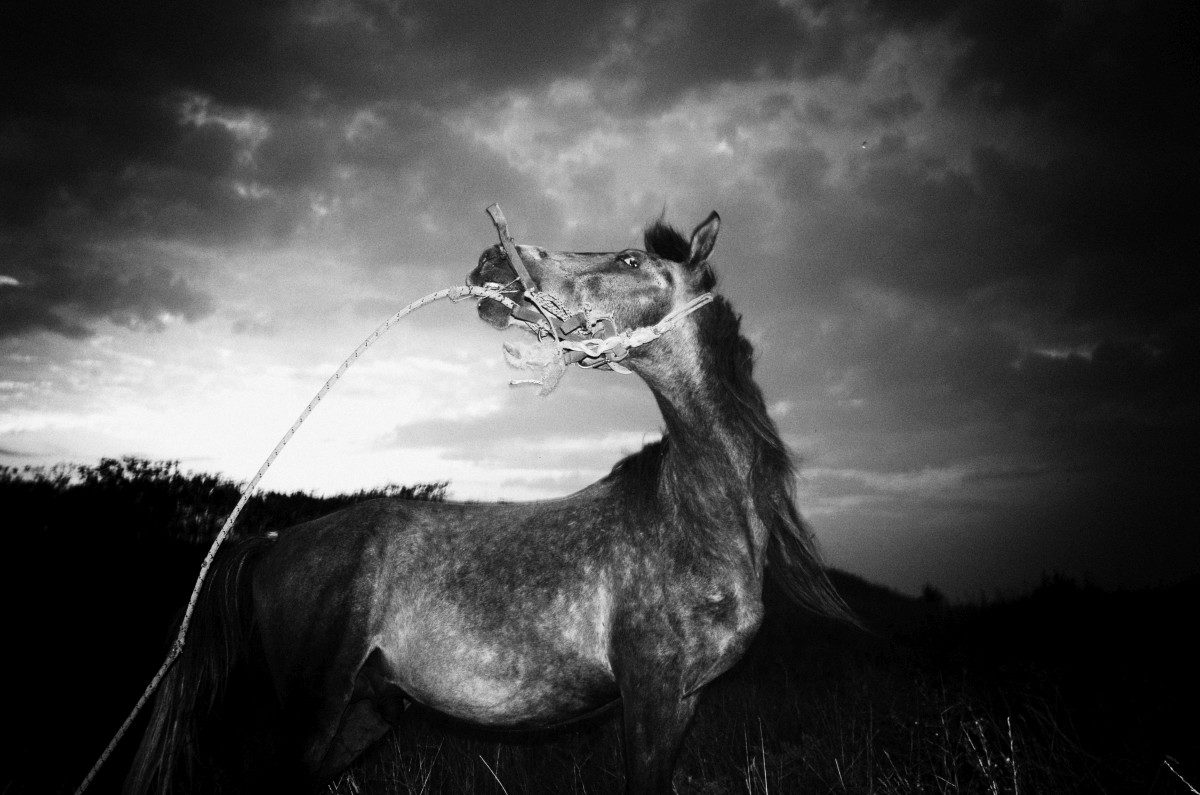 © Stavros Stamatiou