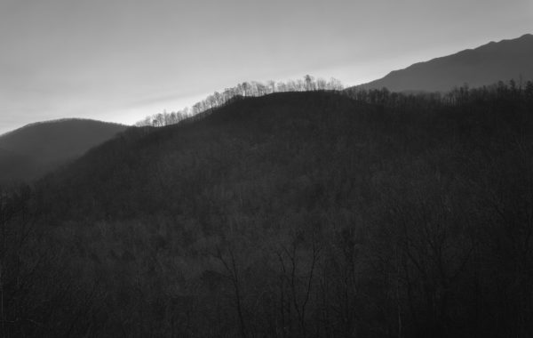 From Jasper © Matthew Genitempo