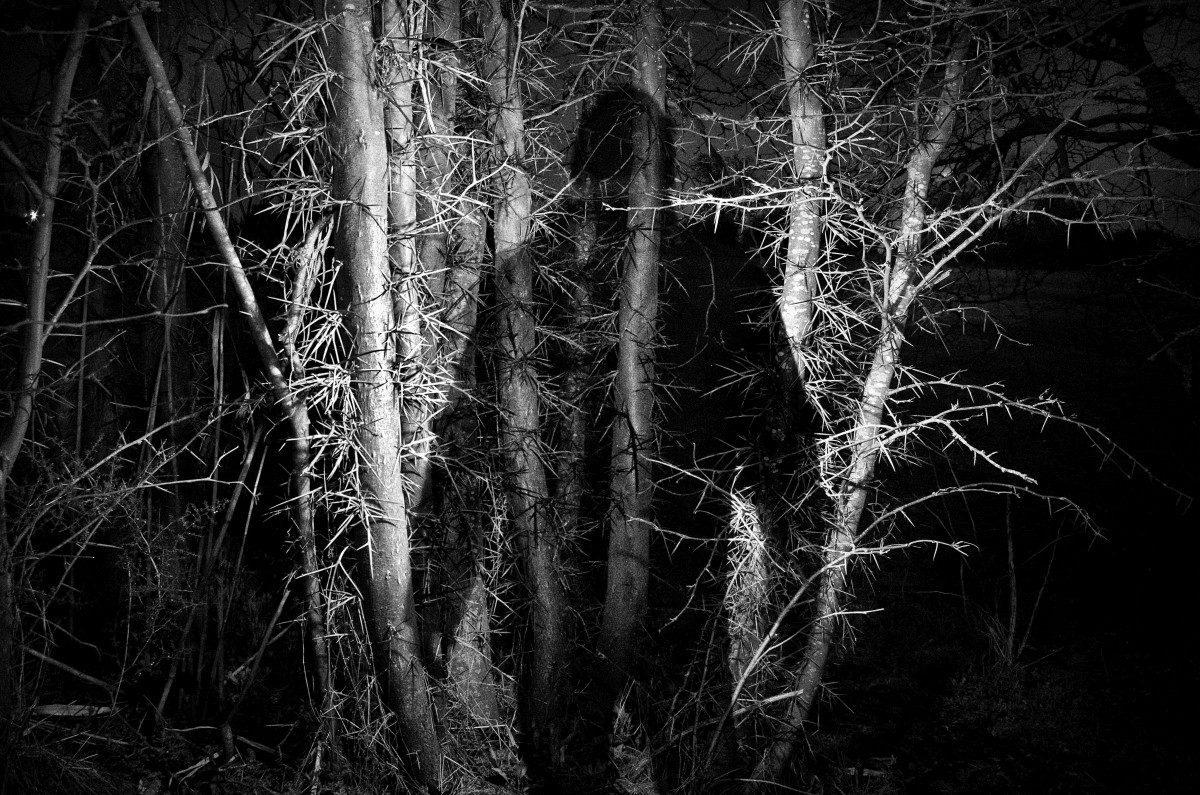 © Stavros Stamatiou