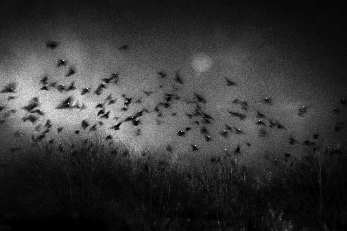 © Stavros Stamatiou