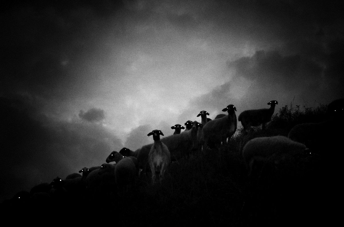 © Stavros Stamatiou