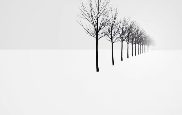 Andrej Šafhalter-Instagram-FE