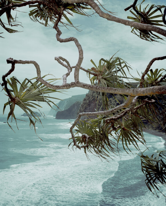 Pololu Valley Overview from "Strangerintwoworlds" by Brendan George Ko