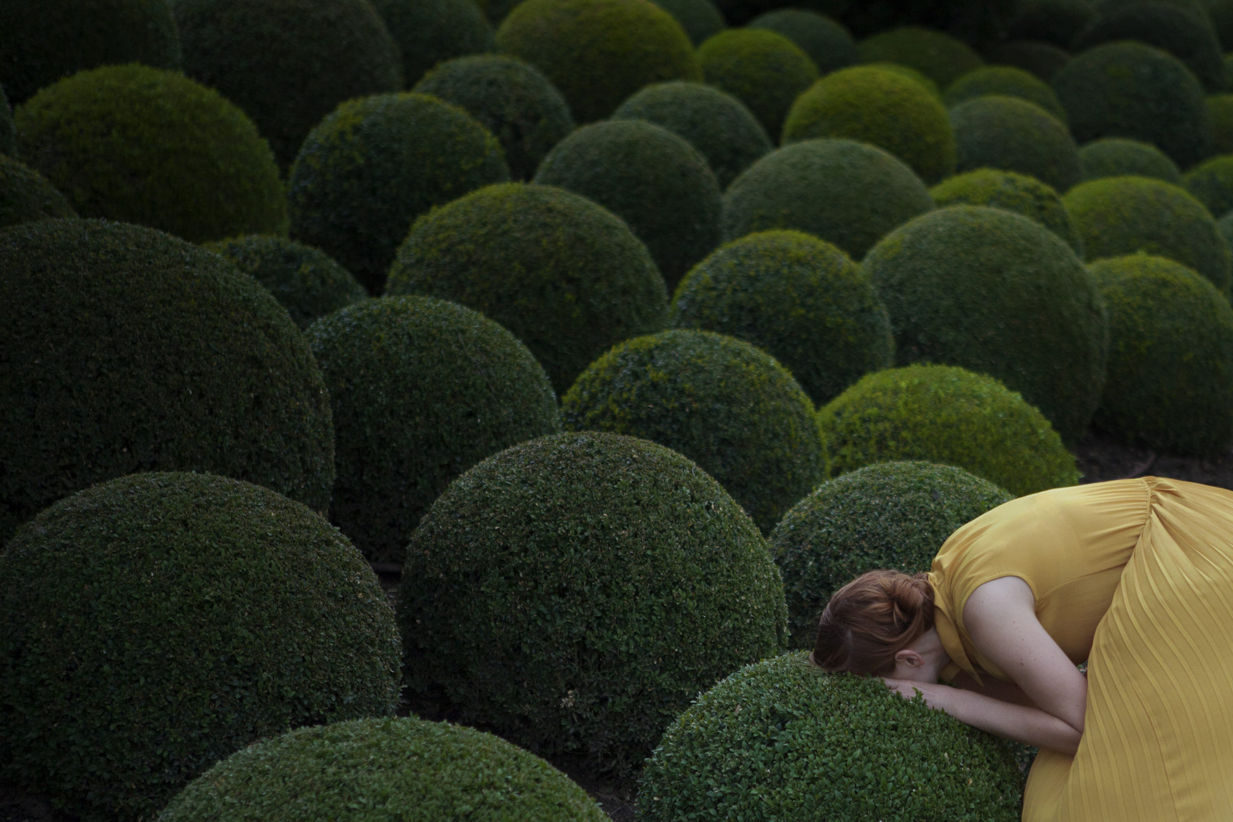 © Maia Flore
