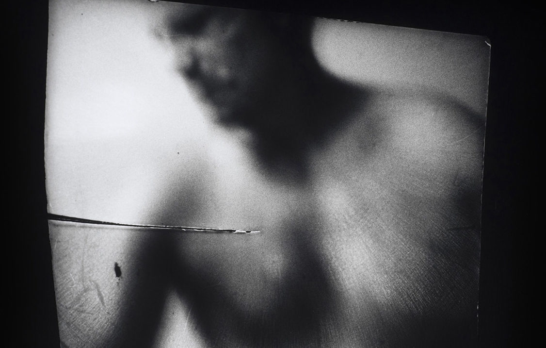 © Danielle Lessnau