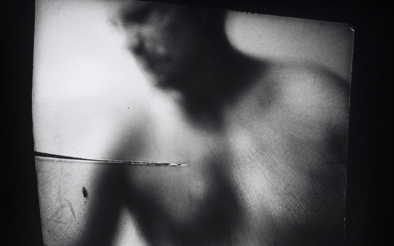 © Danielle Lessnau