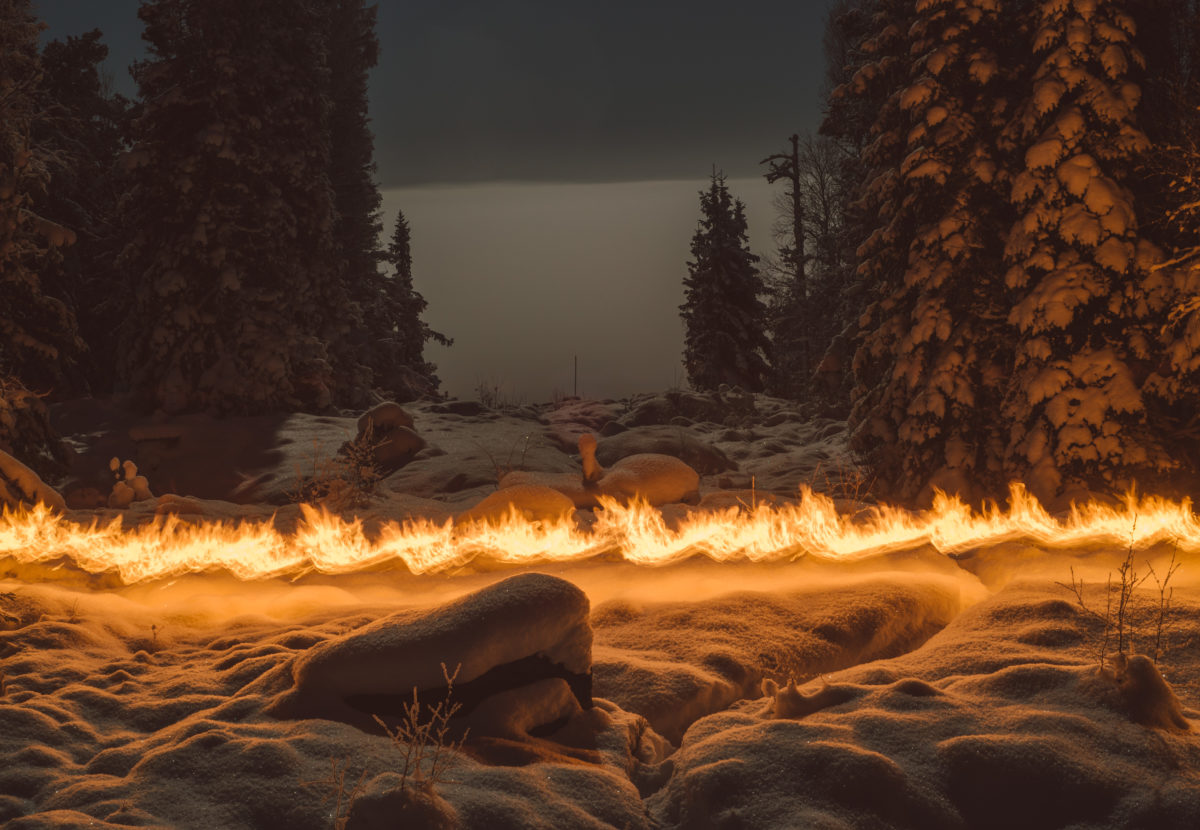 © Terje Abusdal