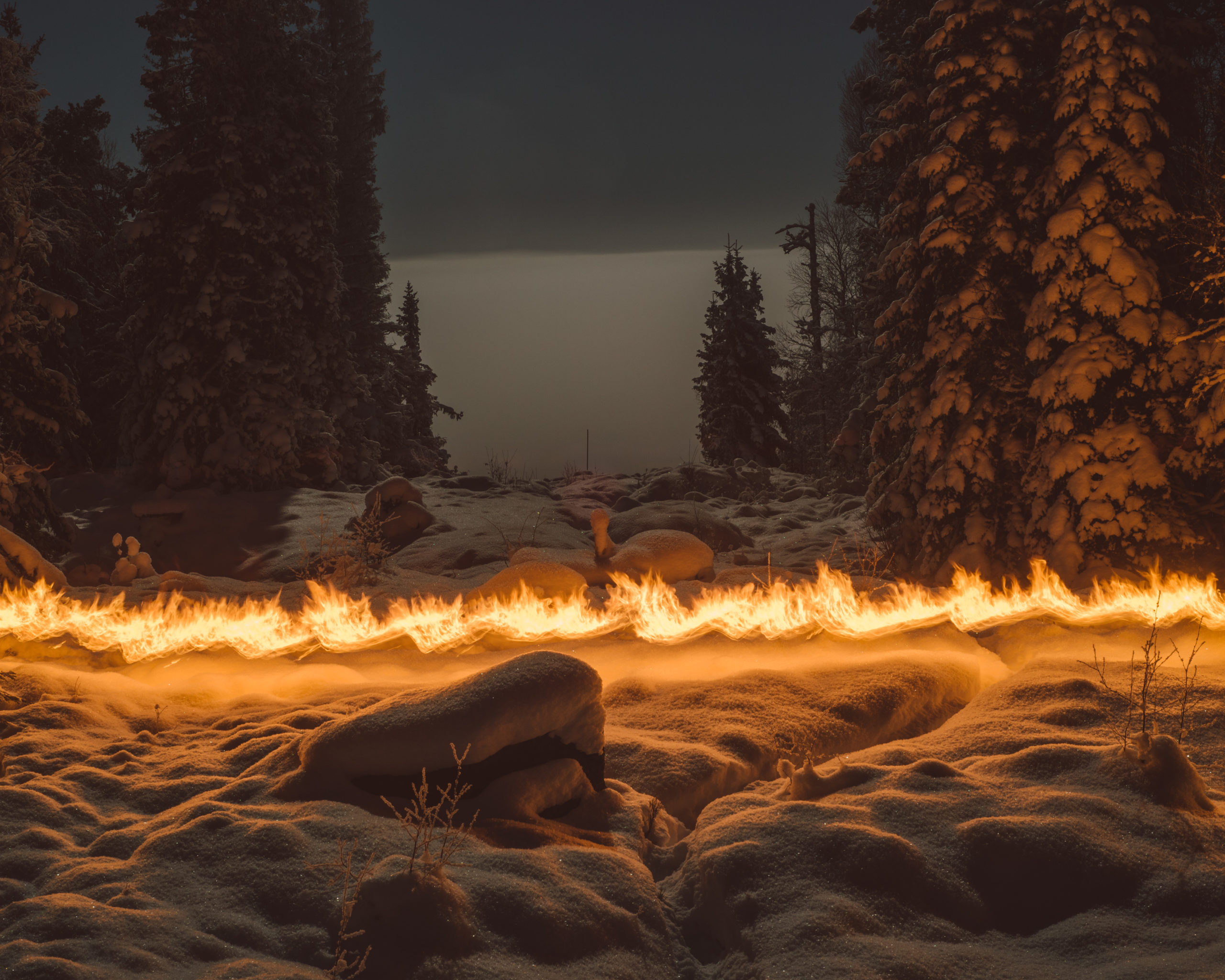 © Terje Abusdal