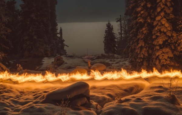 © Terje Abusdal