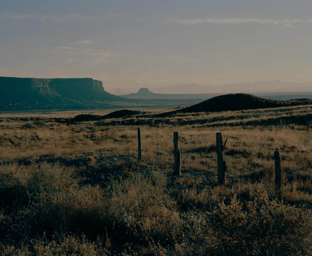 © Damien Maloney