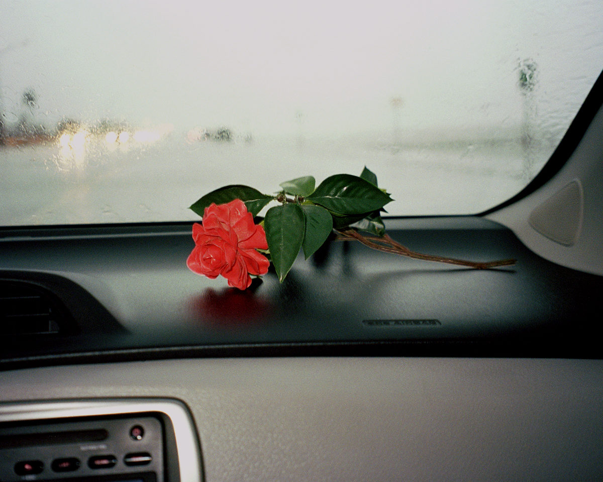 © Damien Maloney