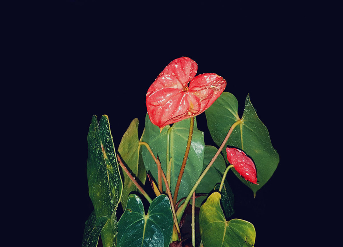 © Maela Ohana