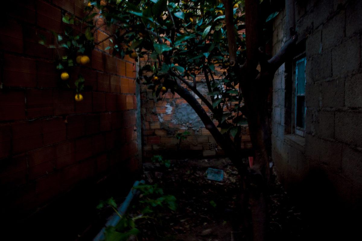 © Liasmine Fodil