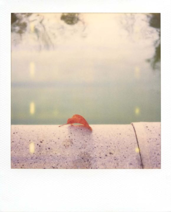 © Amelie Marandet