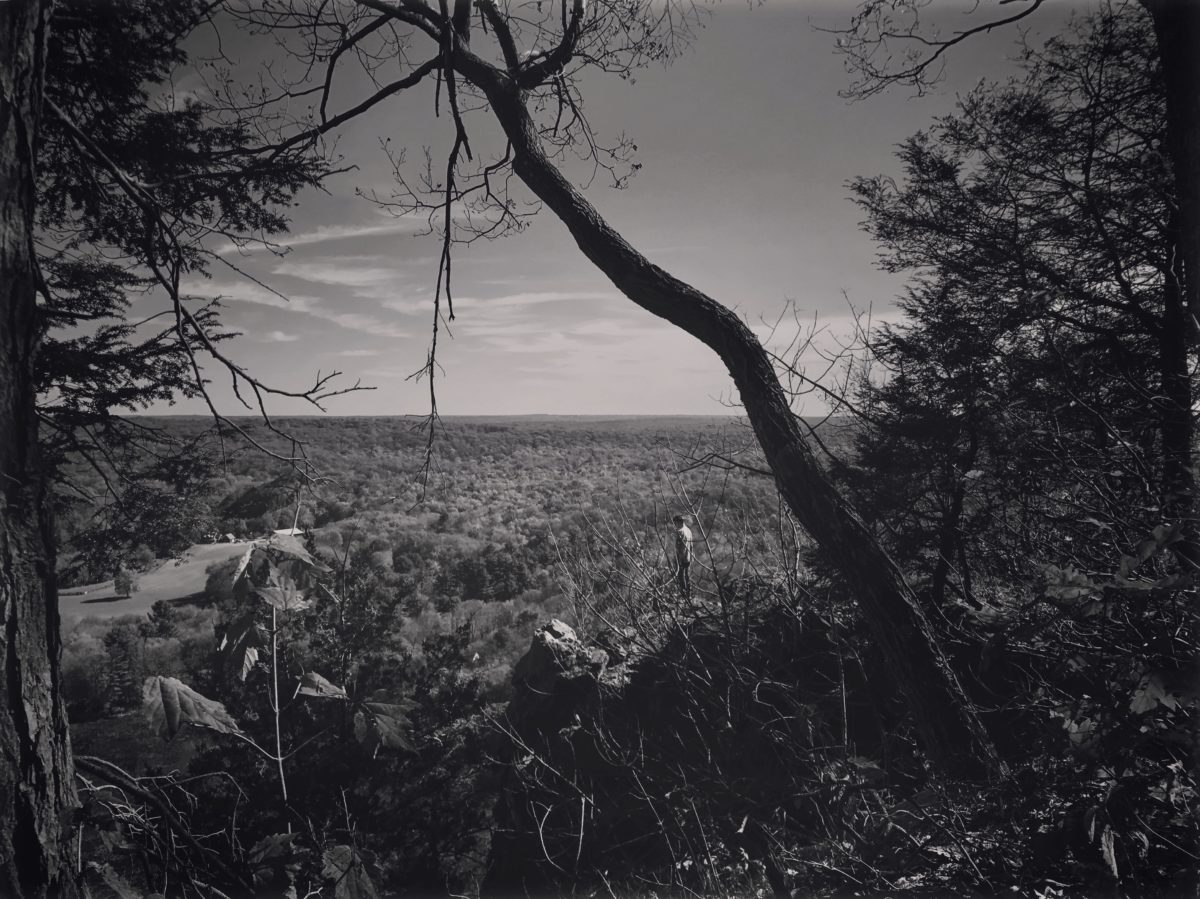 © Megan Johnson