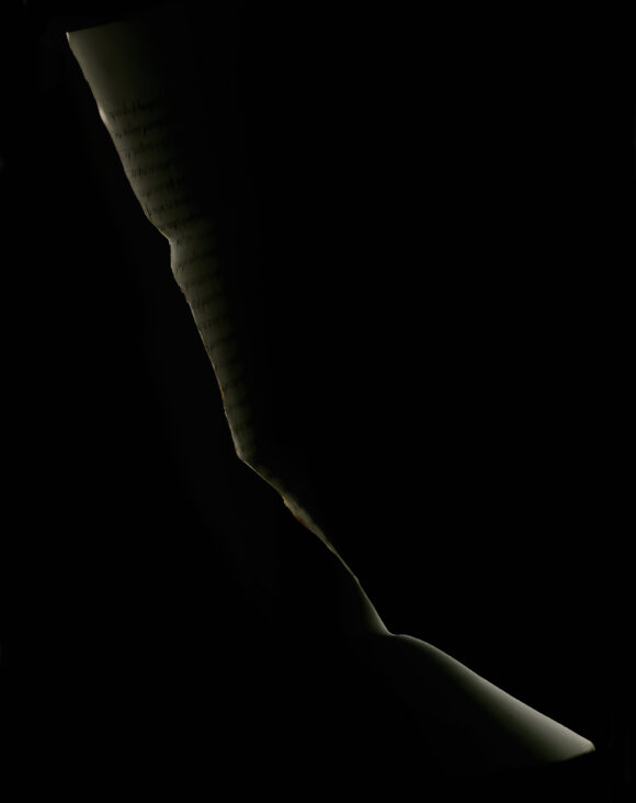 © Edgar Martins