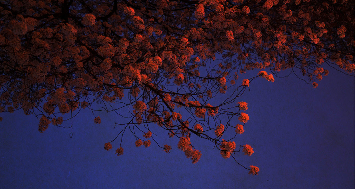 © Albarrán Cabrera