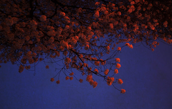 © Albarrán Cabrera