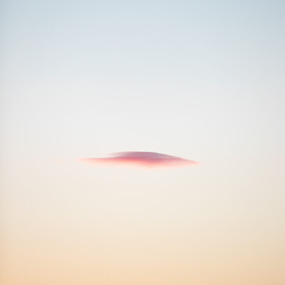 © Charlotte Curd