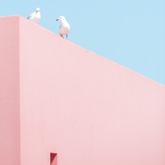 © Charlotte Curd
