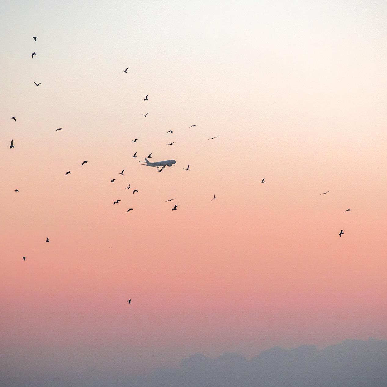 © Charlotte Curd