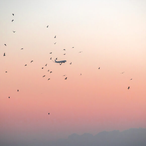 © Charlotte Curd