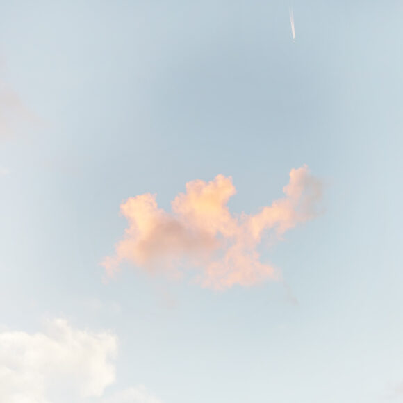 © Charlotte Curd
