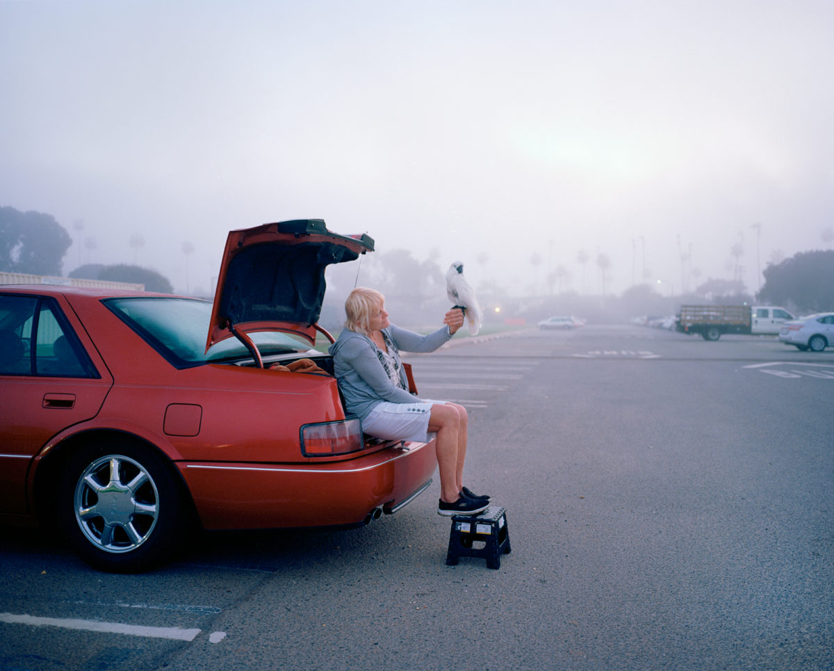 © John Francis Peters