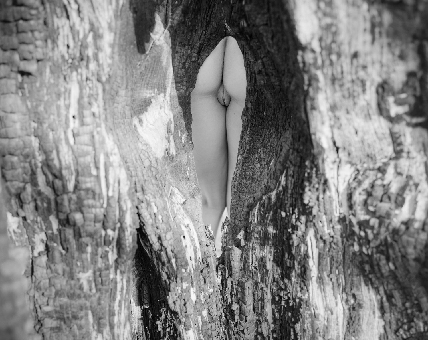 © Rachel Jump