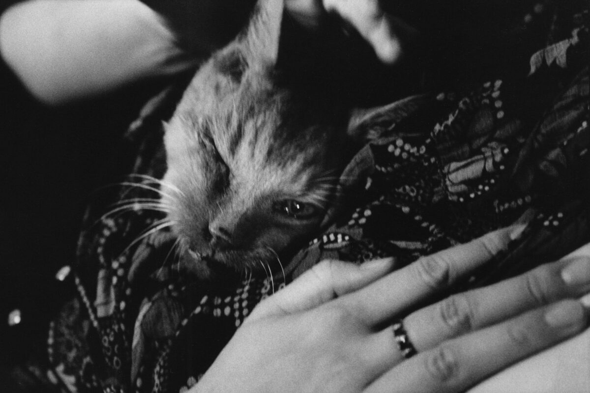 ©︎ Sakiko Nomura