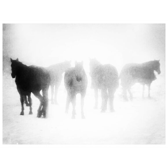 © Sebastian Eklund