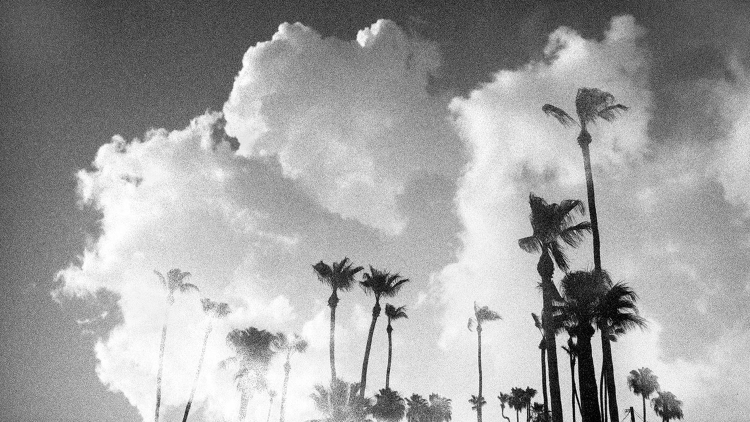 © Marine Lécuyer