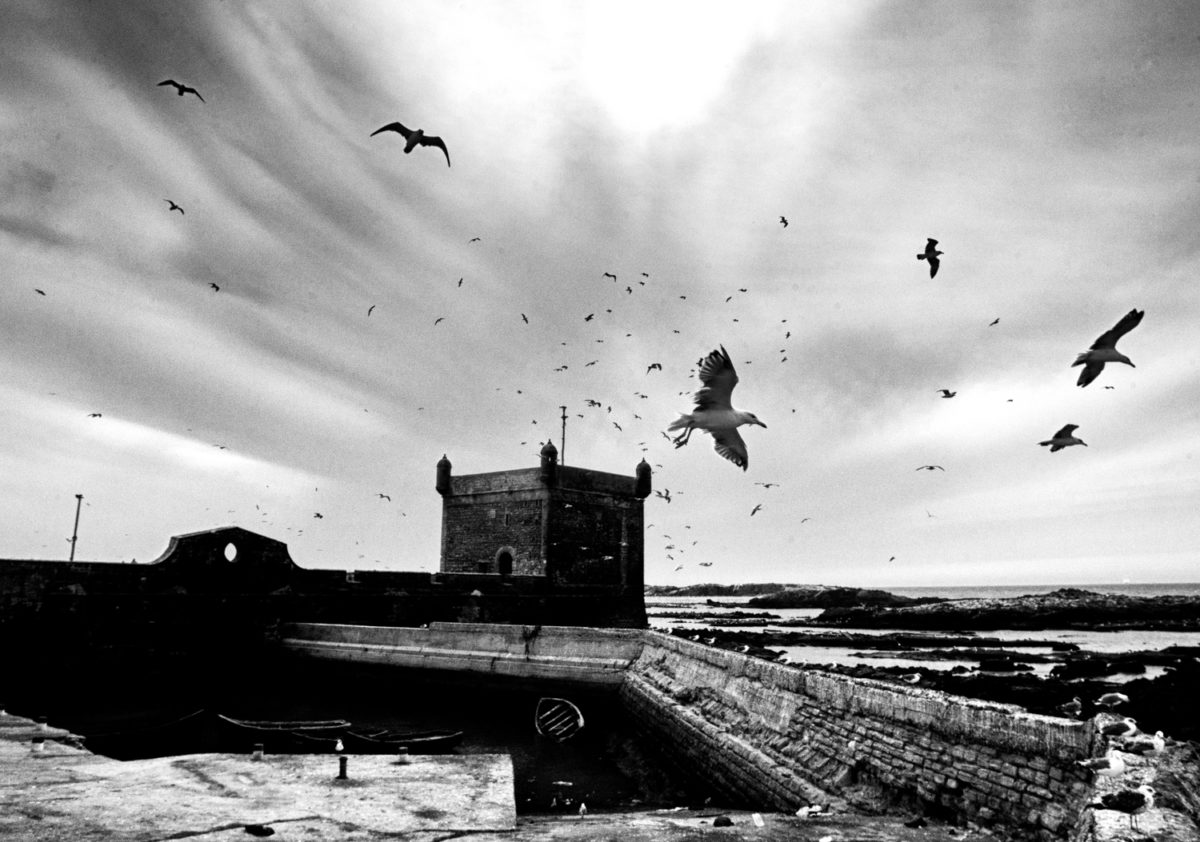 © Zakaria Wakrim