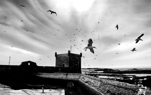 © Zakaria Wakrim
