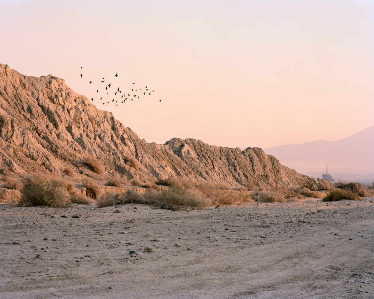© Antone Dolezal
