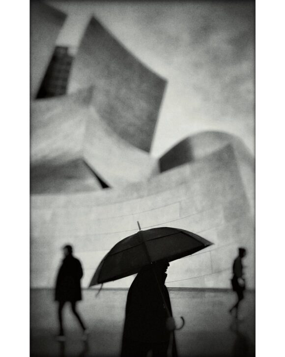 © David Ingraham / Instagram