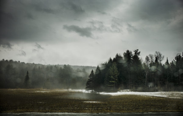 © Stéphane Lavoué