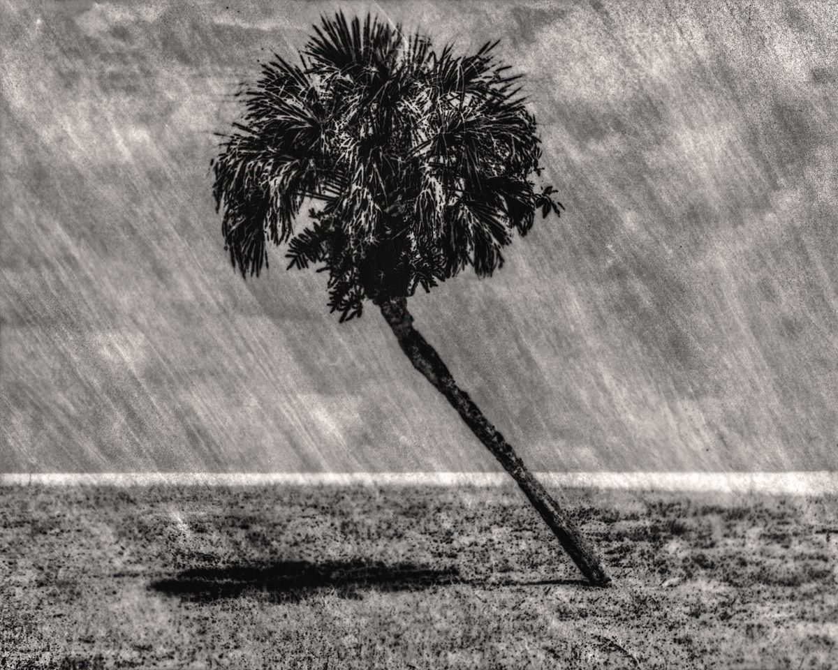 © Marcus DeSieno